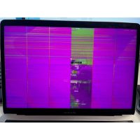 MacBook skærm reparation - Dustgate